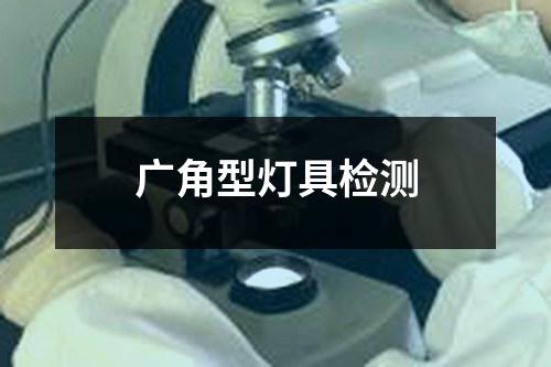 廣角型燈具檢測