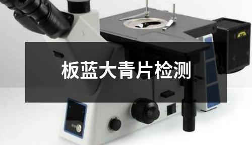 板藍大青片檢測