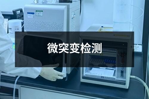 微突變檢測(cè)