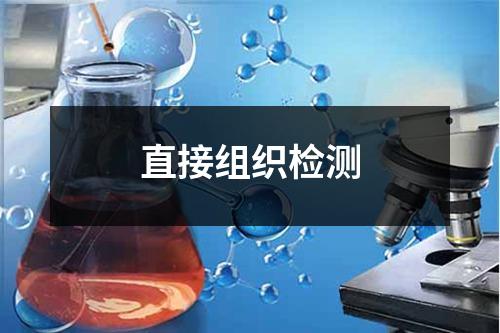 直接組織檢測