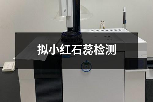 擬小紅石蕊檢測