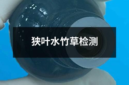狹葉水竹草檢測(cè)