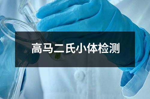 高馬二氏小體檢測(cè)
