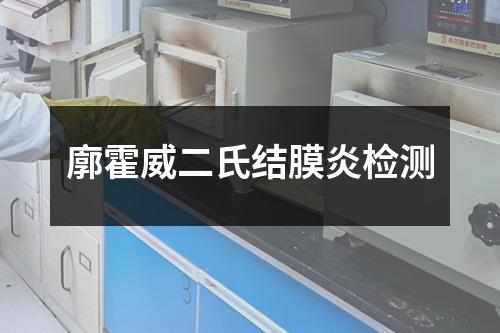 廓霍威二氏結(jié)膜炎檢測(cè)