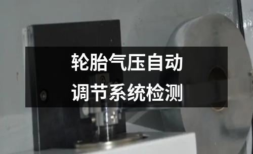 輪胎氣壓自動調(diào)節(jié)系統(tǒng)檢測