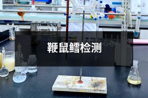 鞭鼠鱈檢測(cè)