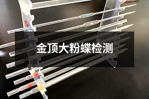 金頂大粉蝶檢測(cè)