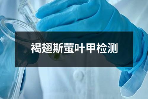 褐翅斯螢葉甲檢測
