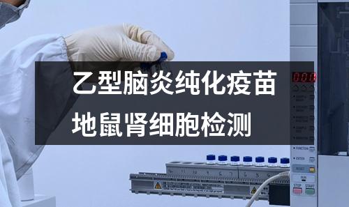 乙型腦炎純化疫苗地鼠腎細胞檢測