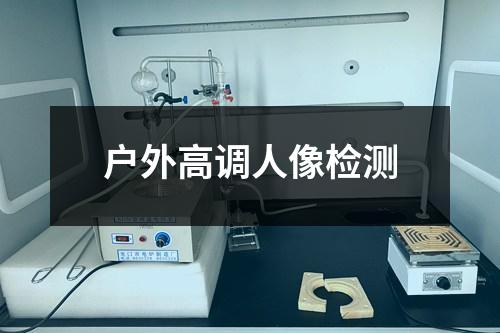 戶外高調(diào)人像檢測(cè)