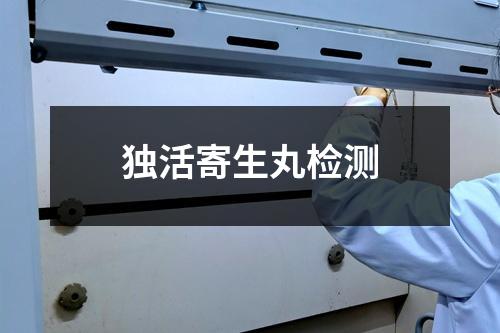 獨(dú)活寄生丸檢測(cè)
