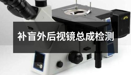 補盲外后視鏡總成檢測