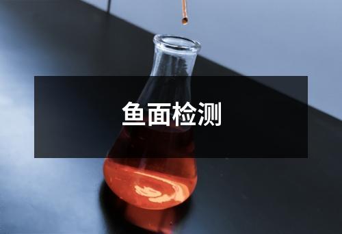 魚面檢測