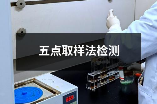 五點(diǎn)取樣法檢測