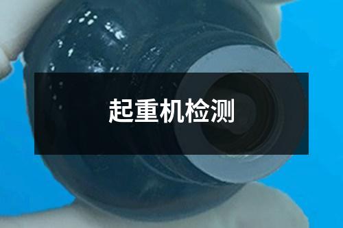 起重機(jī)檢測