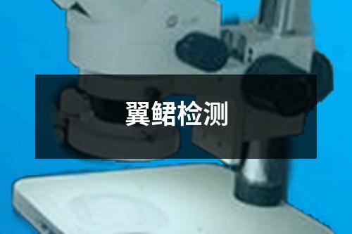 翼鲪檢測