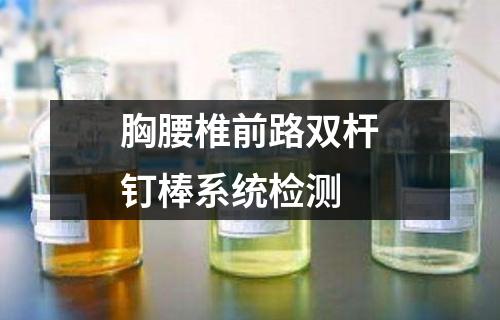 胸腰椎前路雙桿釘棒系統(tǒng)檢測