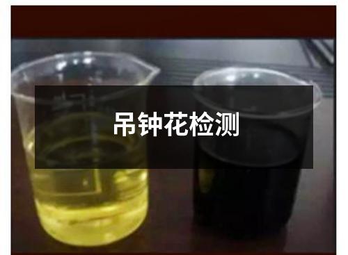 吊鐘花檢測(cè)