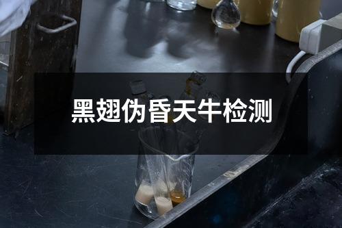 黑翅偽昏天牛檢測