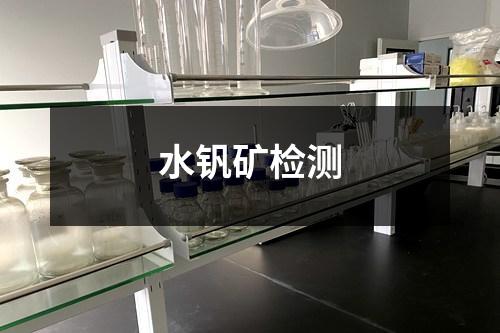 水釩礦檢測(cè)