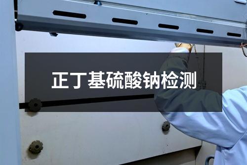 正丁基硫酸鈉檢測