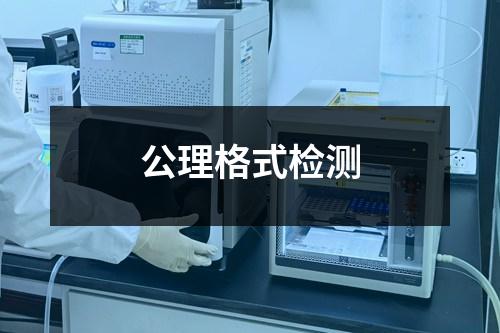 公理格式檢測
