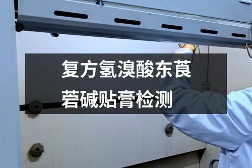 復(fù)方氫溴酸東莨菪堿貼膏檢測
