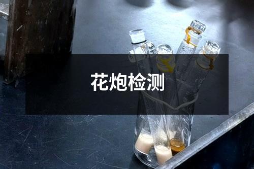 花炮檢測