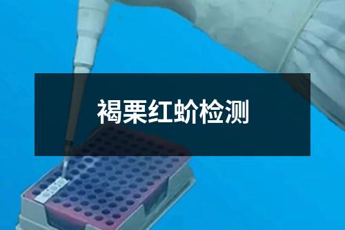 褐栗紅蚧檢測