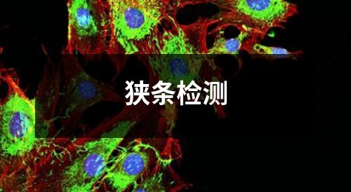 狹條檢測
