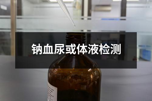 鈉血尿或體液檢測