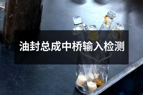 油封總成中橋輸入檢測(cè)