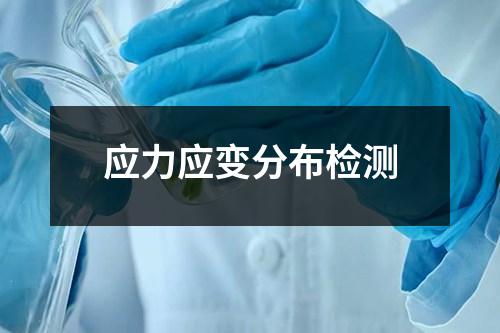 應(yīng)力應(yīng)變分布檢測(cè)