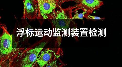 浮標(biāo)運動監(jiān)測裝置檢測