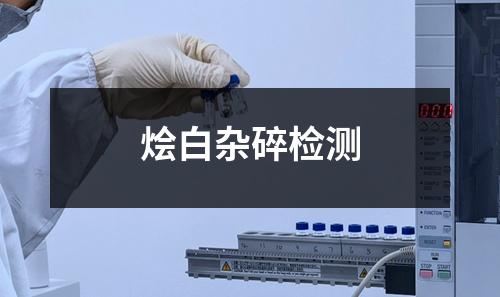 燴白雜碎檢測