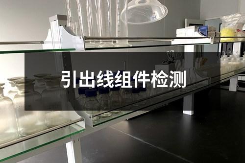 引出線組件檢測