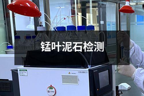 錳葉泥石檢測