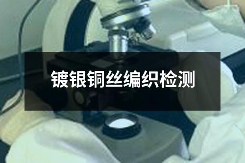 鍍銀銅絲編織檢測