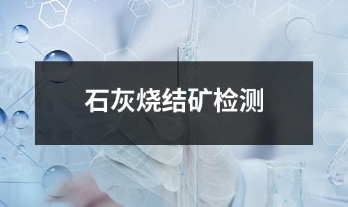 石灰燒結(jié)礦檢測(cè)