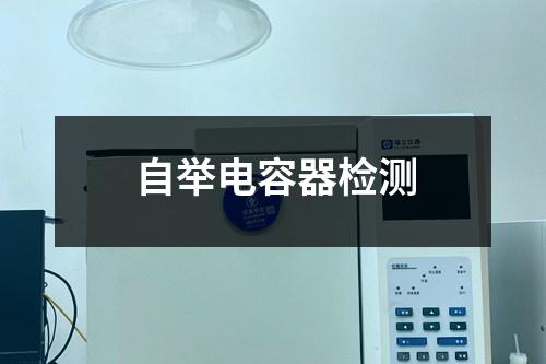 自舉電容器檢測