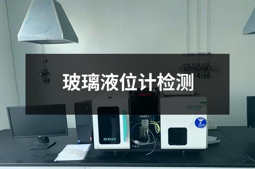 玻璃液位計檢測