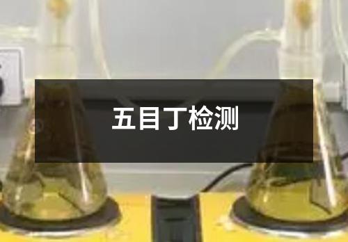 五目丁檢測
