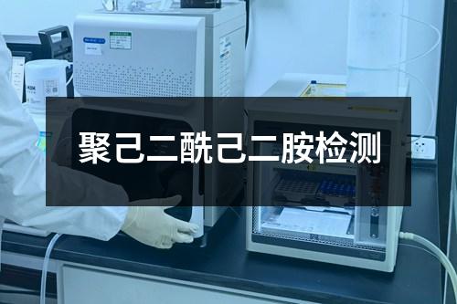聚己二酰己二胺檢測