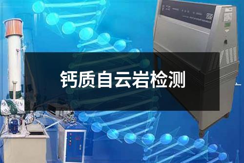 鈣質(zhì)自云巖檢測