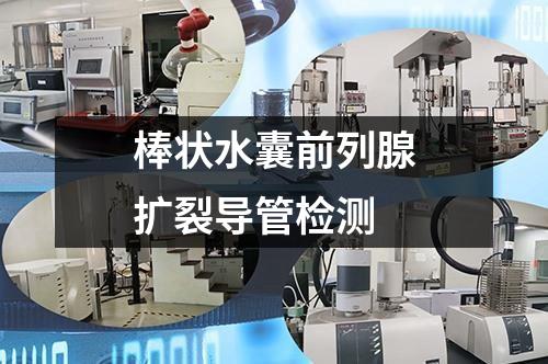 棒狀水囊前列腺擴(kuò)裂導(dǎo)管檢測(cè)