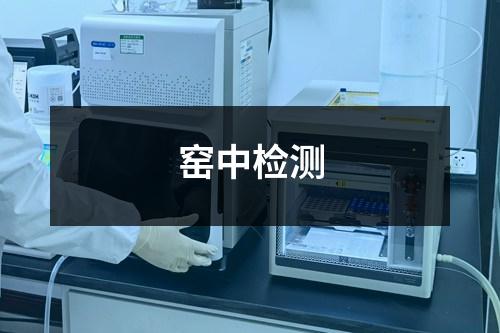窯中檢測