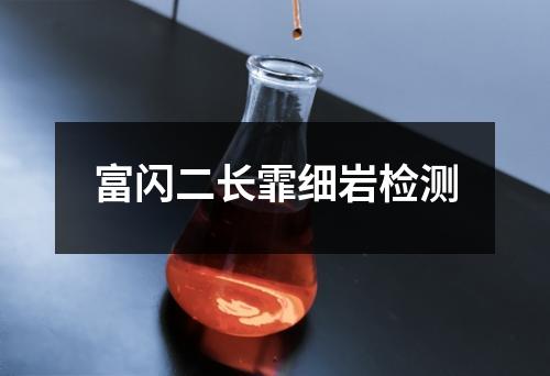 富閃二長(zhǎng)霏細(xì)巖檢測(cè)