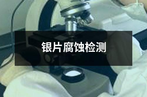 銀片腐蝕檢測