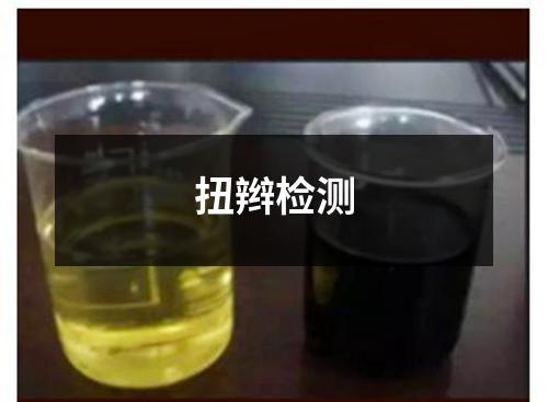 扭辮檢測