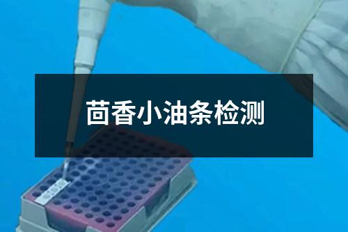 茴香小油條檢測(cè)